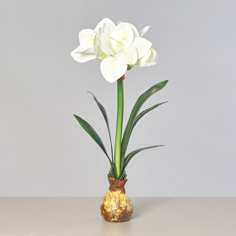 amaryllis mit zwiebel stehend cream ca 53 cm weihnachten  tewashopde