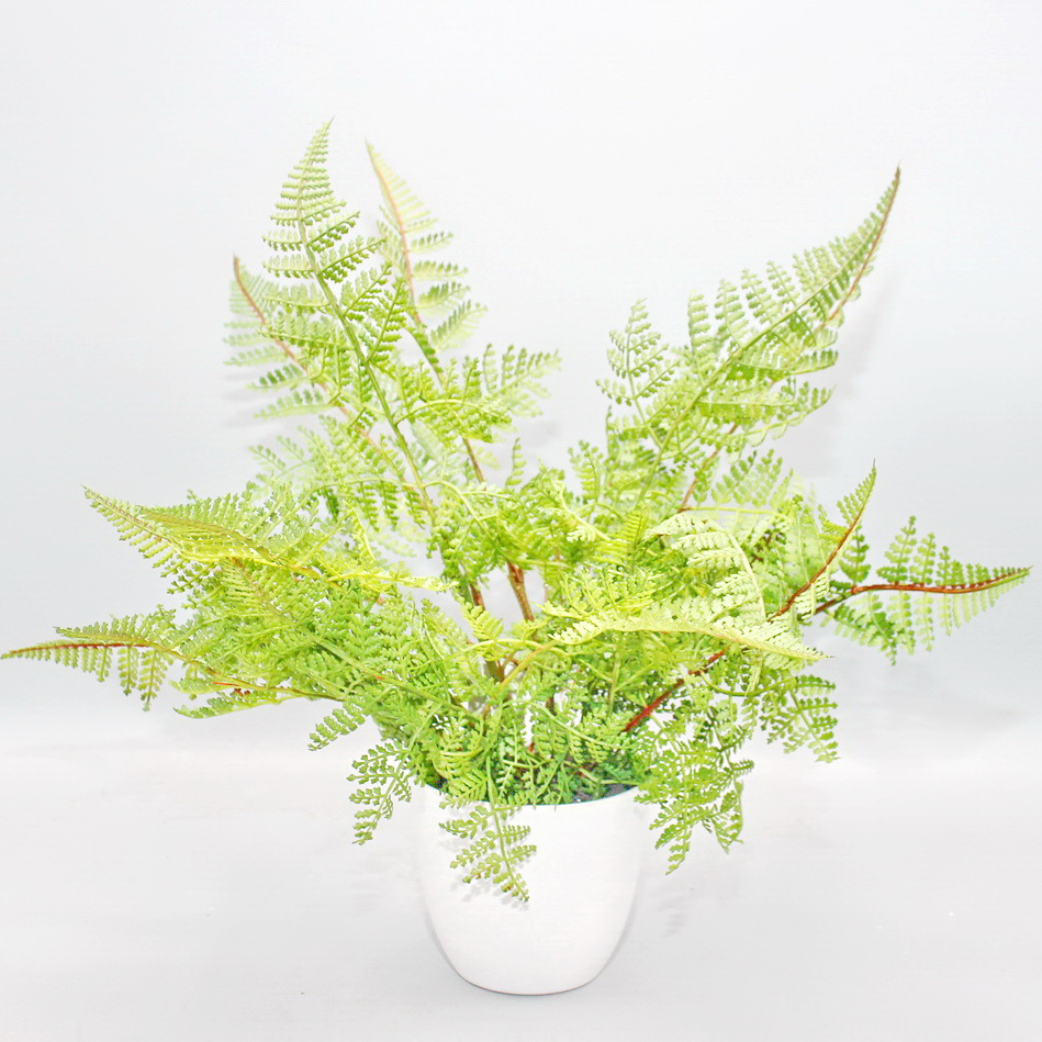 Farn im weißen Topf Höhe ca. 30 cm Kunstblumen / Pflanzen