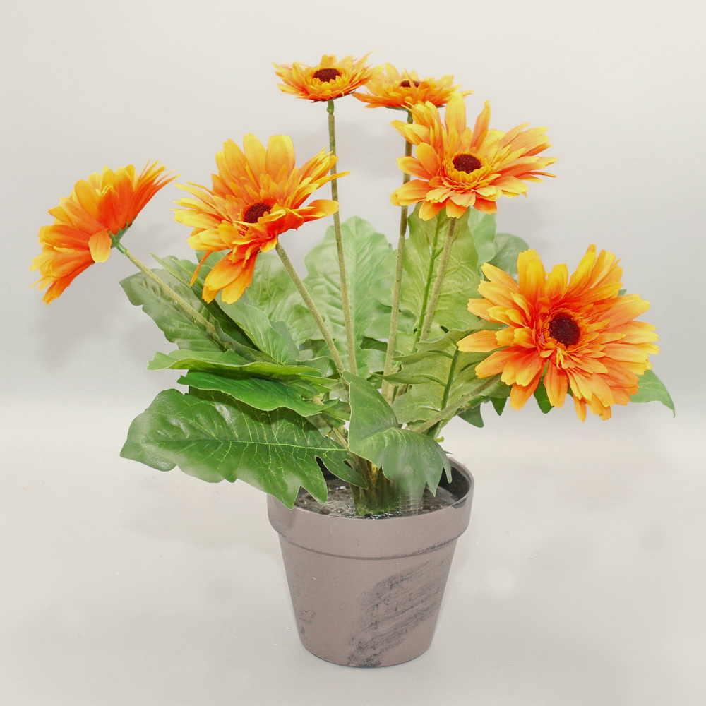 Gerbera Im Topf Lässt Kopf Hängen Gerbera im Topf, orange Kunstblumen / Pflanzen - tewa-shop.de