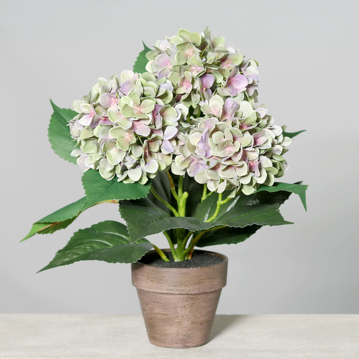 Hortensie im Topf, mauvegrün Kunstblumen / Pflanzen