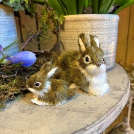 2er Set Fellhasen dunkelbraun