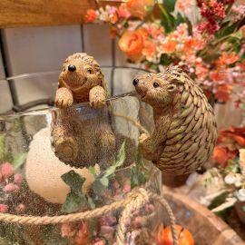 2er Set Igel / Hängeigel für Töpfe und Vasen