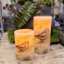 2er Set LED-Echtwachskerzen Vögel