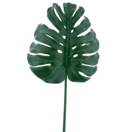 Alocasia Blatt grün 