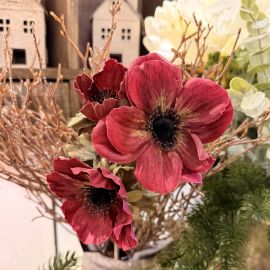 Anemone x3 aubergine