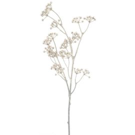 Beerenzeig XMAS champanger