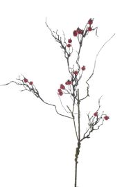 Beerenzweig Rune rot 