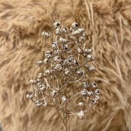 Beerenzweig champanger