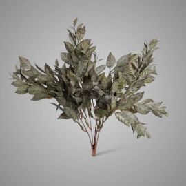 Blätterbusch Lauro bronze