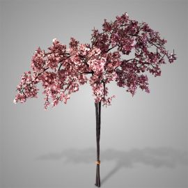Blütenzweig mauve