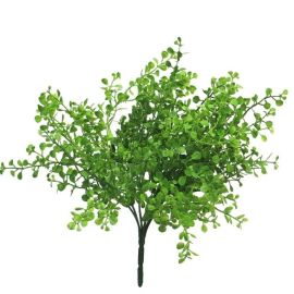 Buchsblatt Busch grün 