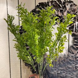 Buchsblatt Busch grün 