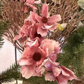 Cosmea Bund x2 altrosa