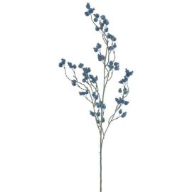 Cranberry Zweig blau