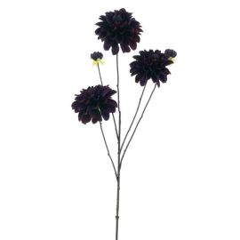 Dahlienzweig Capitol burgundy