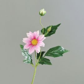 Dahlienzweig violett