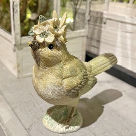 Dekovogel bunt, Schnabel hoch 