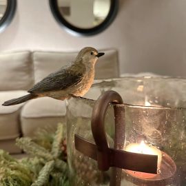 Dekovogel grau/braun für Topfrand