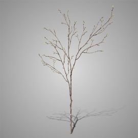 Dekozweig mit grünen Knospen