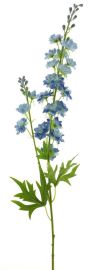 Delphinium blau