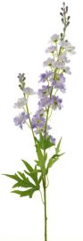 Delphinium lila