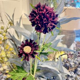 Diamond Scabiosa Zweig purple