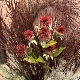 Distelzweig mit 6 Knospen