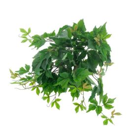 Efeubusch grün (eco collection)