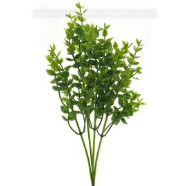 Eucalyptusbusch grün