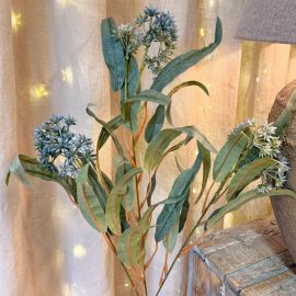 Eukalyptus Zweig blau