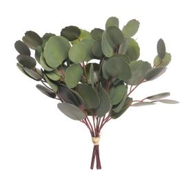 Eukalyptusbund x4 grün 