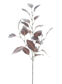 Eukalyptuszweig beflockt braun