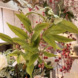 Eukalyptuszweig grün 