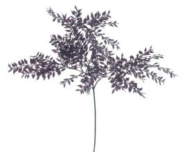 Farnzweig Monaco purple