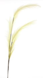 Federzweig beige