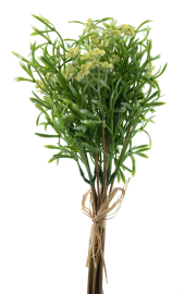 Frühlingsgras mit Sedum gelb