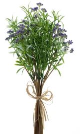 Frühlingsgras mit Sedum lila