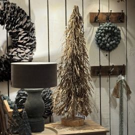 Geäst-Tannenbaum Natur