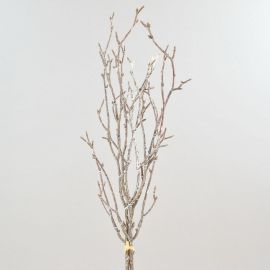 Geästzweig Bündel x3 braun/weiß