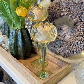 Glaswindlicht Blüte gelb