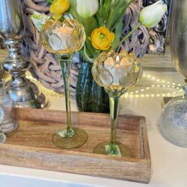 Glaswindlicht Blüte gelb