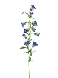 Glockenblumenzweig blau