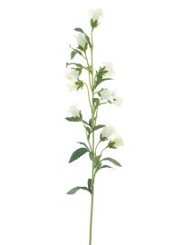 Glockenblumenzweig creme