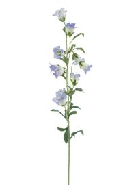 Glockenblumenzweig lavendel 