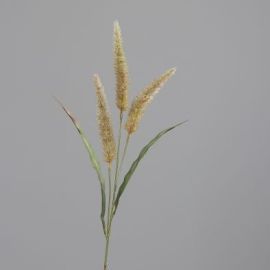 Gras-Wedel mit drei Puscheln, honey