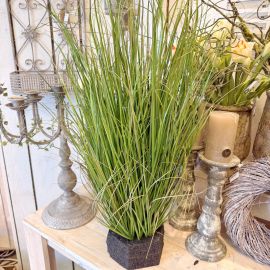 Gras im Steckmooswürfel