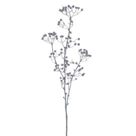 Gypso Zweig Monaco purple