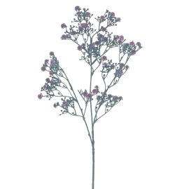 Gypso Zweig burgunder/schwarz