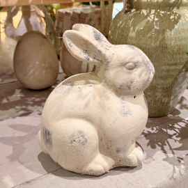 Hase Valo rechts schauend