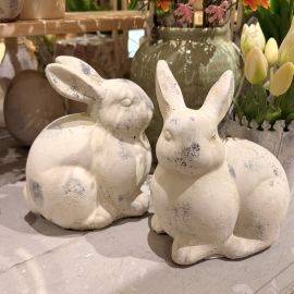 Hasen Valo links schauend